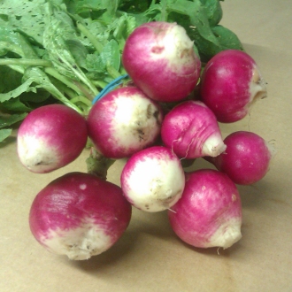 Radish Sparkler